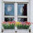 Violet Arrangement-1950051333