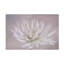 Art sur toile «Bachelor Marie-Anne Stas»-105649341