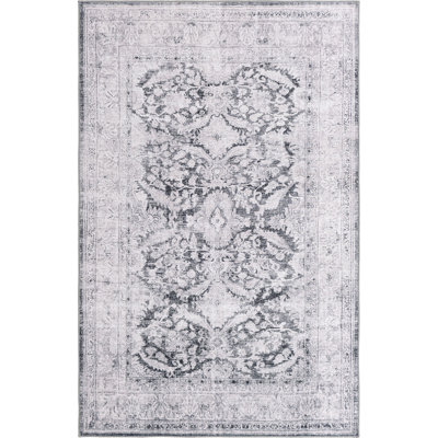 Mauri Chenille Oriental Indoor Rug