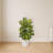 Dieffenbachia Silk Plant in White Planter