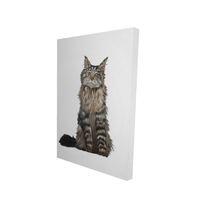 Maine Coon Cat Canvas - Illustrative Bedroom Decor Art