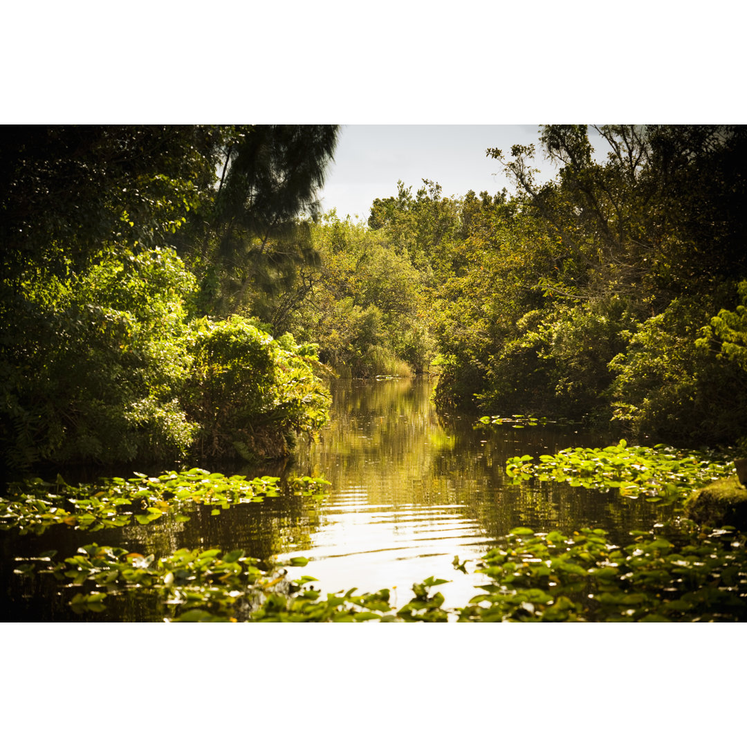 Leinwandbild Wetlands Backgound von Pgiam