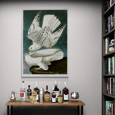 The Gyrfalcon by John James Audubon - Wrapped Canvas Art Prints