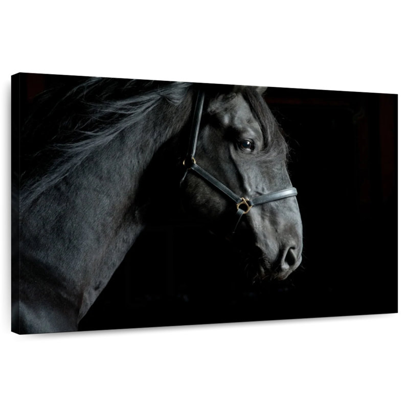Tête de cheval Brampt, H 26 po x l 39 po