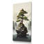 Art zen miniature Bonzai III-1587934982-1398467241