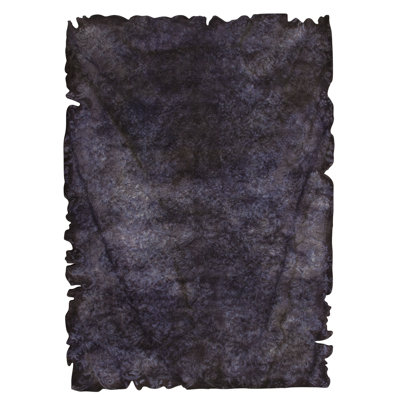 Emlen Indoor Rug