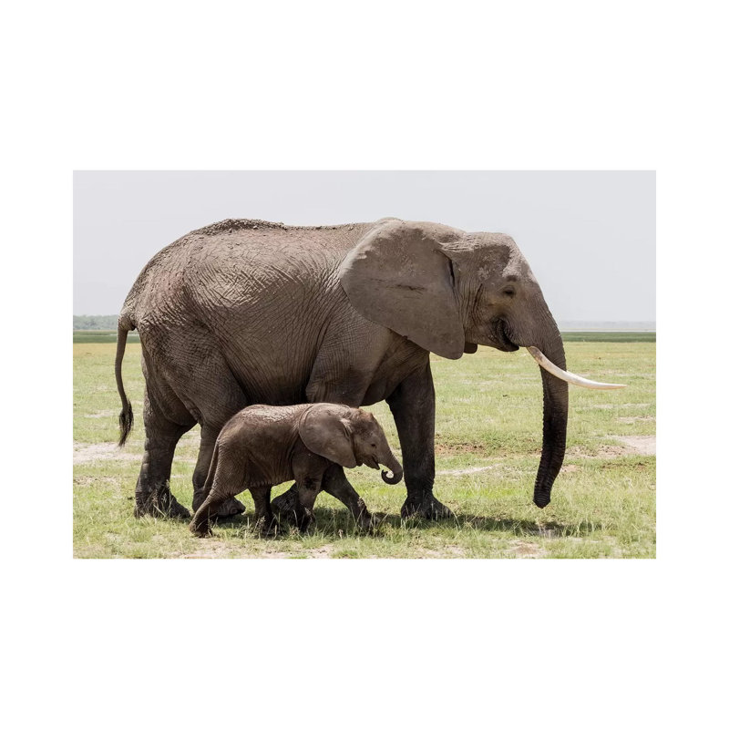 Africa, Kenya, Amboseli National Park Mother Elephant and Baby Walking 1 Piece Wrapped Canvas Wall Art