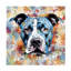 Animals Pit Bull Master, peinture sur toile encadrée-596866874