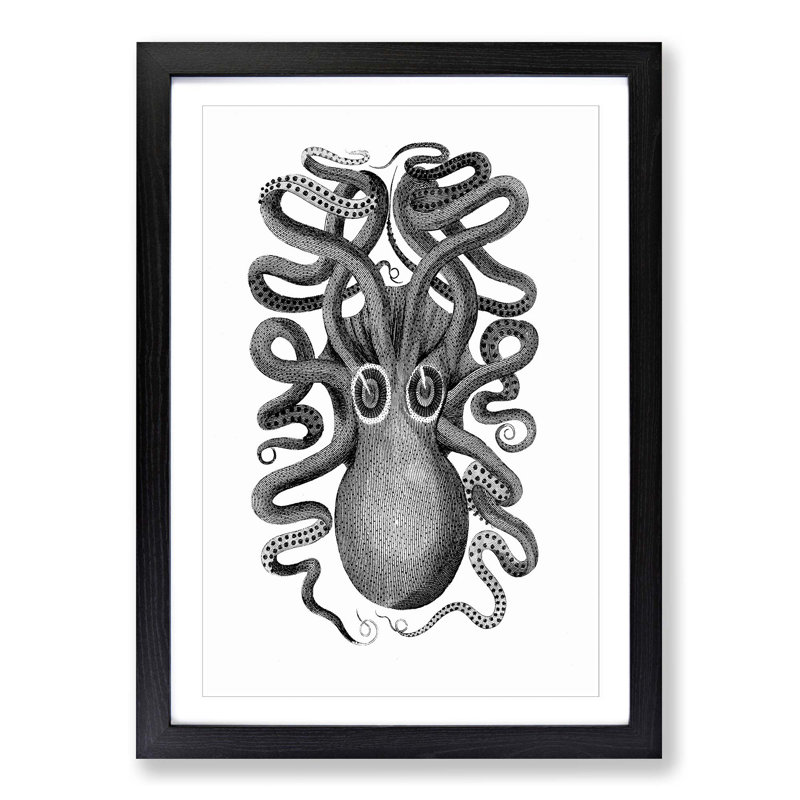 Octopus in Black and White by George Shaw - Picture Frame Drawing Print on MDF, Black Framed, 36cm H x 27cm W x 2cm D