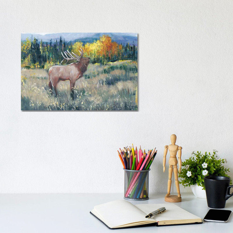 Rocky Mountain Elk II by Tim OToole - Wrapped Canvas Painting, 20.32cm H x 30.48cm W 1.9cm D