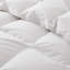 Édredon 100% coton duvet d'oie européen-89754961