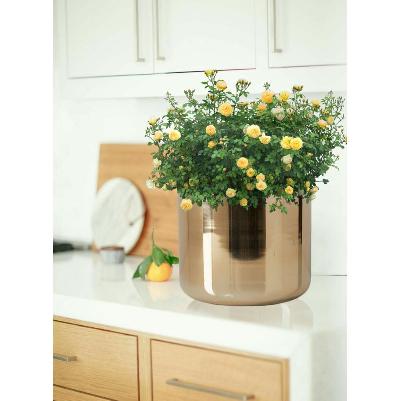 Metal Cachepot