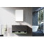 Camilah Dorriel 550mm x 810mm Mirror Cabinet-1673538576