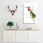 Stripe-Cheeked Hummingbird by George Shaw - Wrapped Canvas-55330312