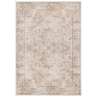 Finlay Oriental Viscose Area Rug
