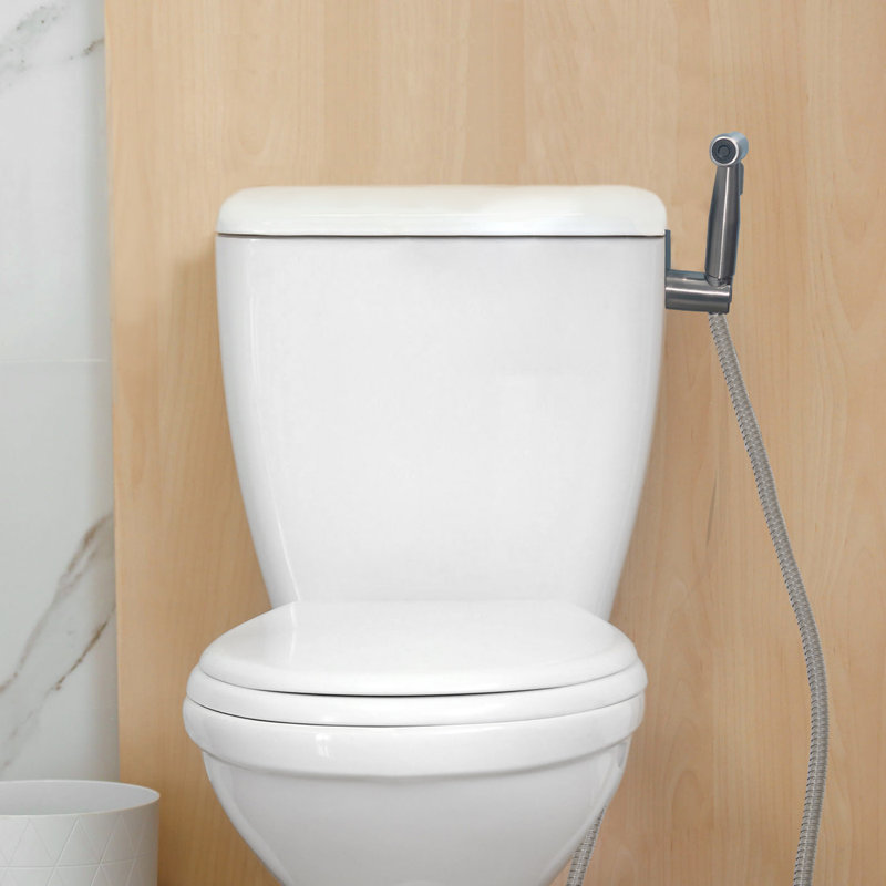 Handheld Bidet Sprayer with Dual Mount and 48-Inch Hose, Gray