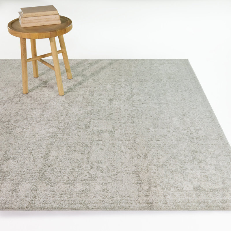 Thornhill Grey Distressed Traditional Area Rug, 5'3" x 7'