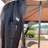 13 Ft. W x 10 Ft. D Steel Patio Gazebo-97871773