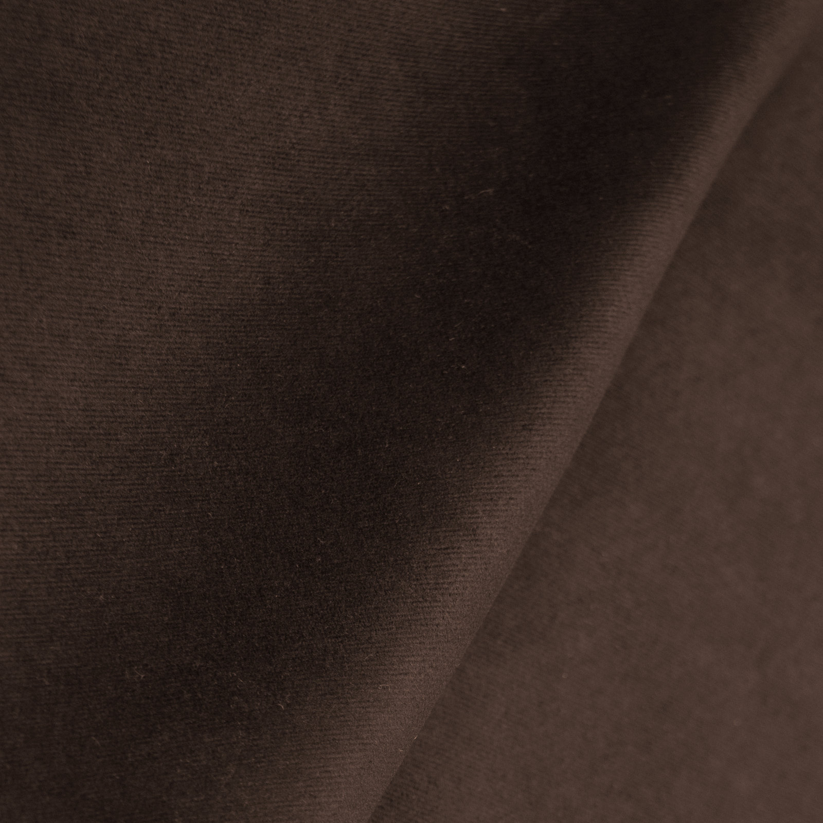 Illy Upholstered Bed, Twin, Classic Chocolate Velvet