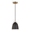 Luminaire suspendu conique à 1 lumière Althera-276753781-276753771-276753770