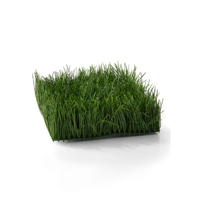 Herbe de sol en blé artificiel