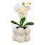 Bradleigh Pot Planter
