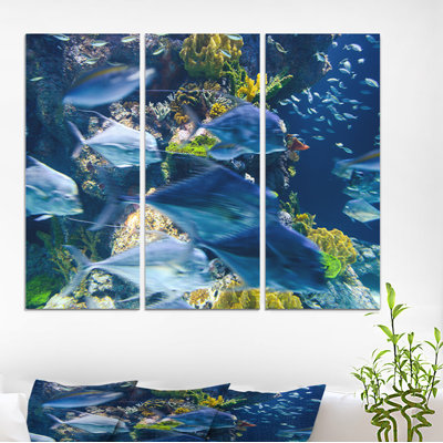 « corail », reproduction de photo à multiples images sur toile tendue