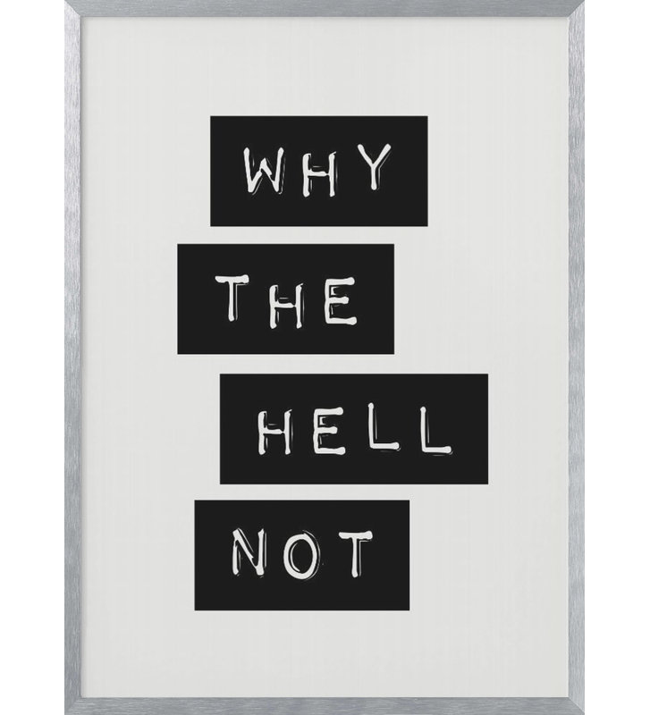 "Why the Hell Not" Framed Print Wall Art, 20" H x 16" W