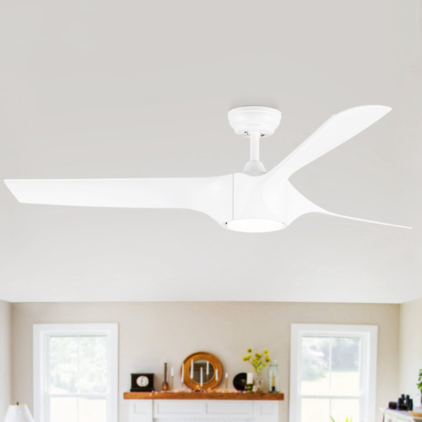 Home Decor 55.96'' Ceiling Fan with LED Lights | Wayfair