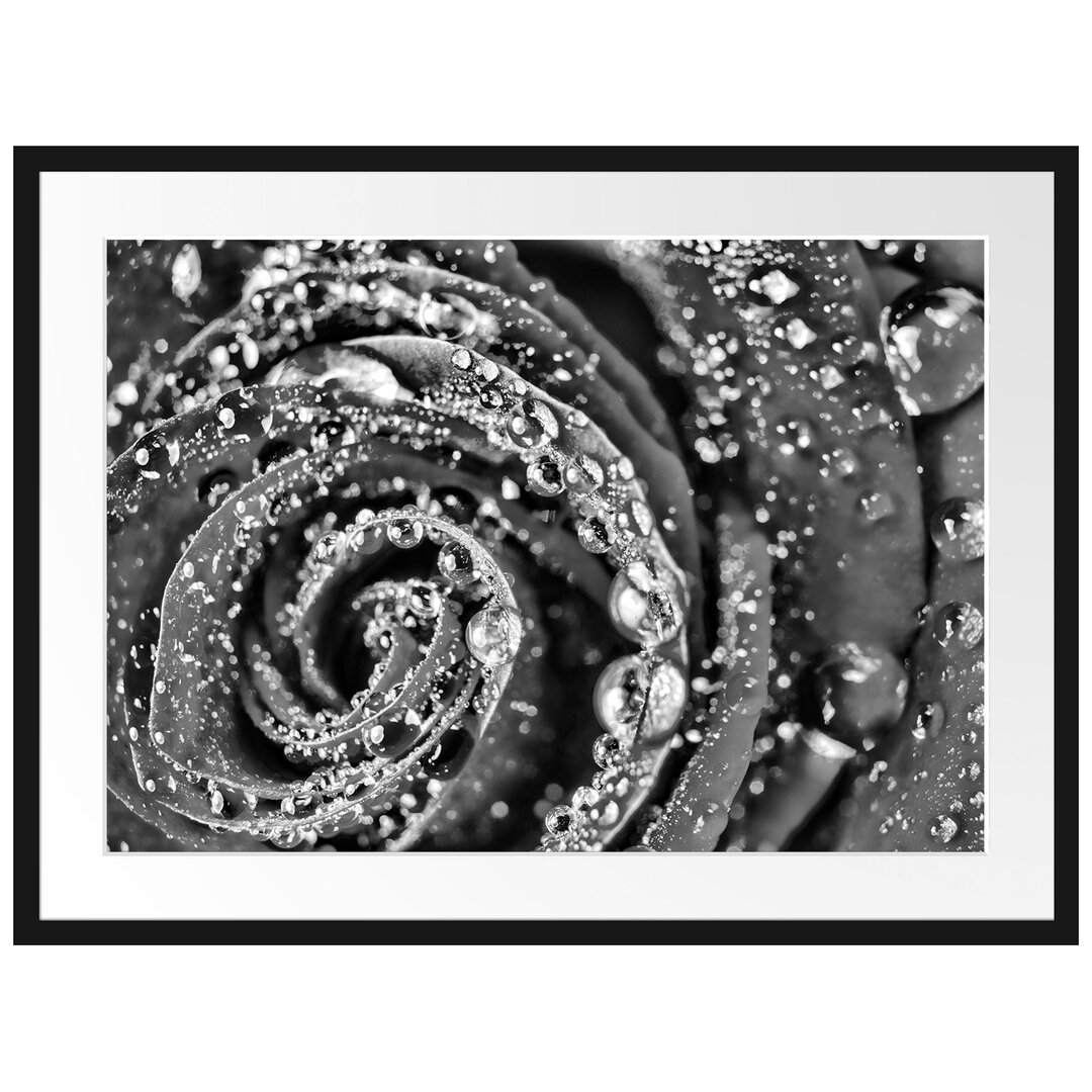 Gerahmtes Poster Elegante Rose mit Wassertropfen