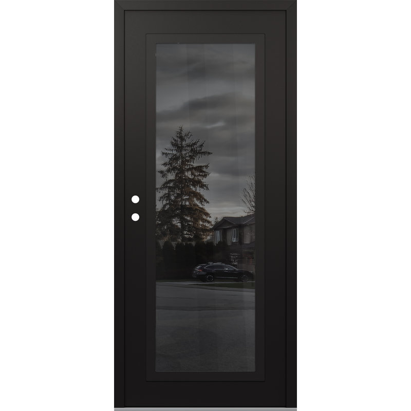 Porte d'entrée avant en verre С1 panneau noir en acier noir / miroir noir, Noir / noir / miroir, Miroitant