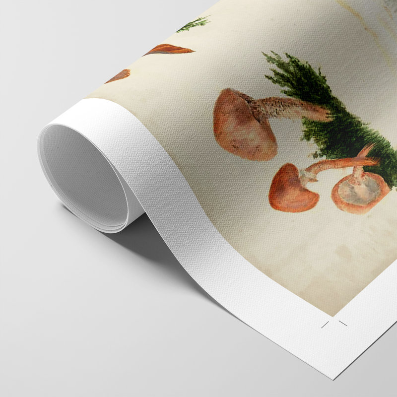 Champignon IV - reproduction de toile seulement - NON-CADRE, H 36 po x l 24 po