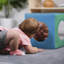 Cube de jeu ECR4Kids SoftZone-59687691