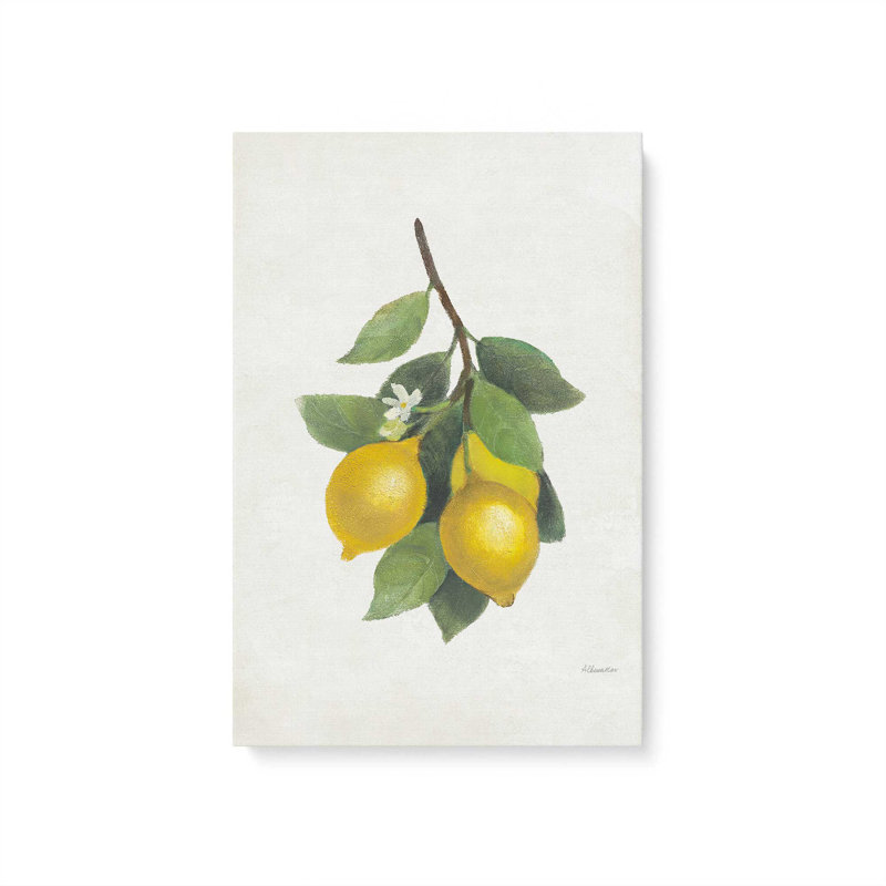 «Lemon Harvest II», reproduction sur toile, Wrapped Canvas, H 12 po x l 8 po x P 1,25 po