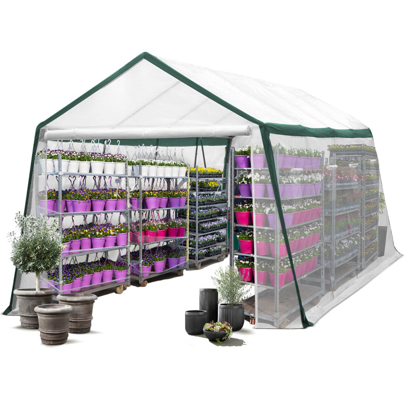 10' W x 20' D Greenhouse