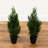 Artificial Cedar Pine Tree UV Resistant (Indoor/Outdoor) - Set of 2-1915890094