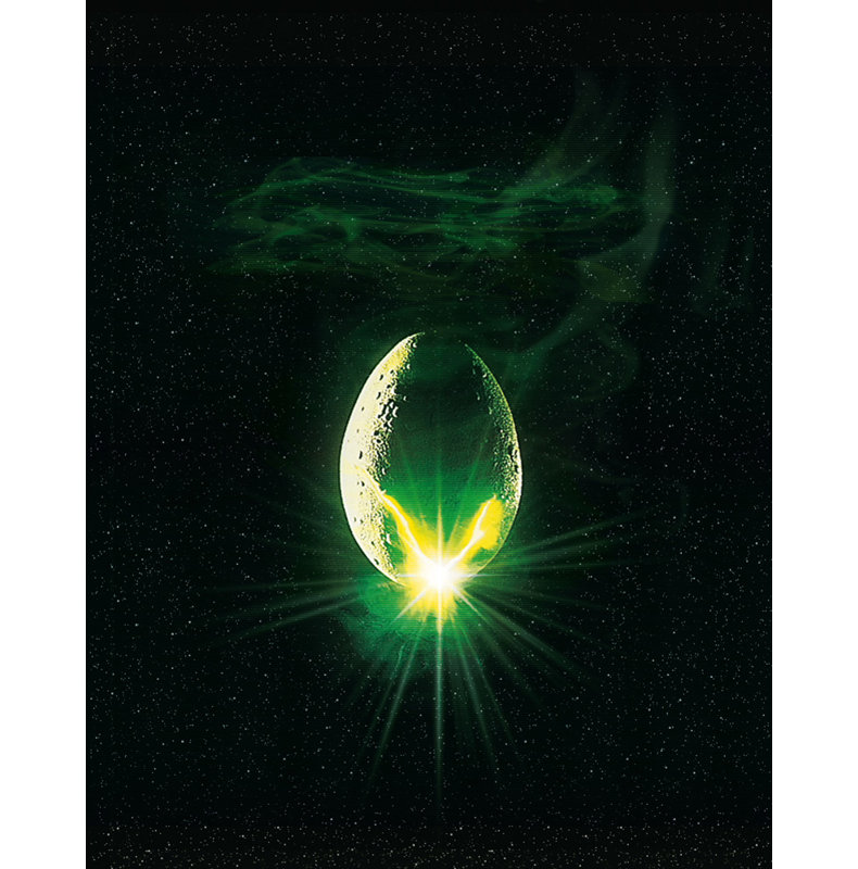Extraterrestre, H 24 po x l 19 po