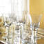 Puccinelli Drinking Glass-2089530676