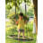 PLAYBERG Fabric Web / Saucer Swing