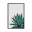« agave cactus »-impression photographie-49905641-49905614