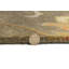 Tapis oriental moderne brun clair 8X11