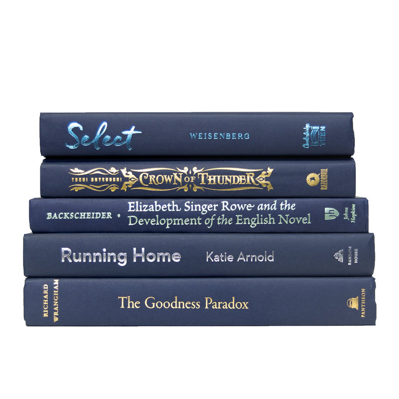 Livres décoratifs - pile de livres bleu marine - 5 livres bleus
