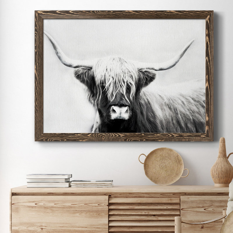 Highland Longhorn - Cadre flottant, reproduction de photo sur toile, H 37,5 po x l 27,5 po x P 1,5 po