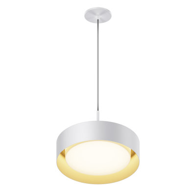 Luminaire suspendu 1 lumière Echo