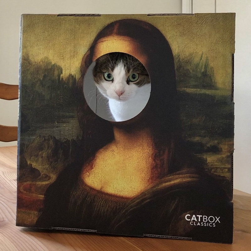 Maison de chat en fourrure avec griffoir