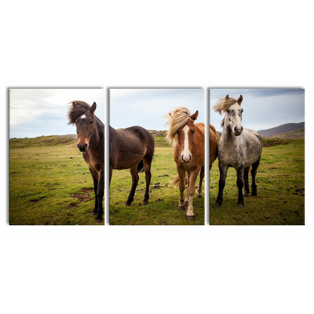 3-tlg. Leinwandbilder-Set Three Wild Icelandic Horses