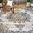 Nicole Miller Medallion Oriental Gray/Black Indoor/Outdoor Area Rug-70150640