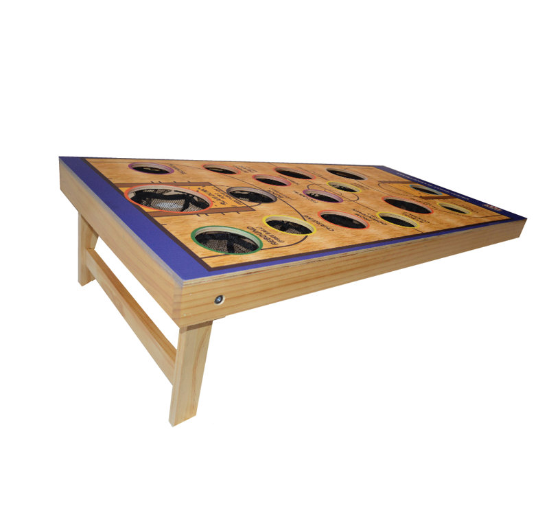 Basketball Bean Bag Toss Game