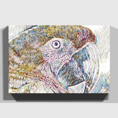 Macaw Parrot Bird - Wrapped Canvas