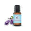 Aromatherapy Plug In
